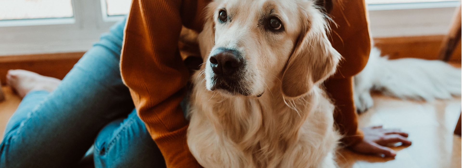 animal hospital in belleville