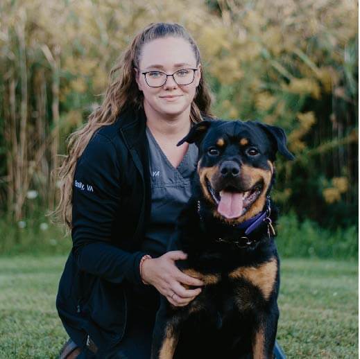 emily vet assistant quinte regional pet hospital