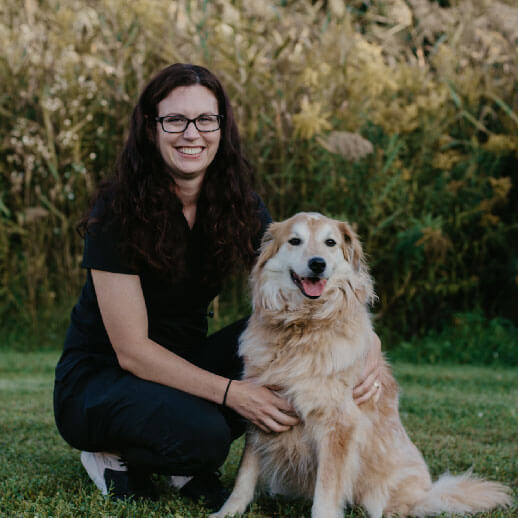 kim veterinary assistant