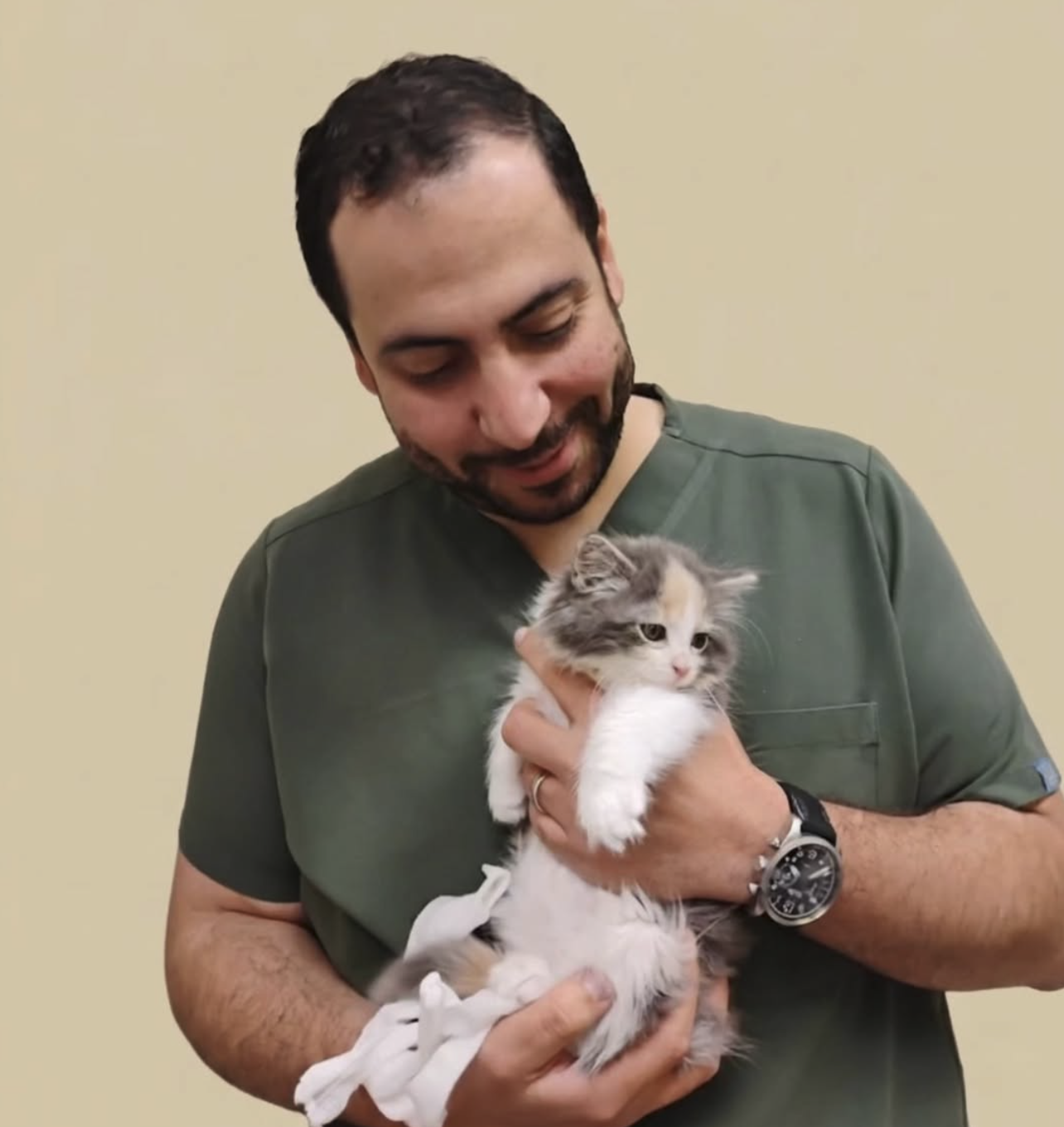 Patient cared for at Quinte Regional Pet Hospital